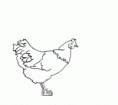 /album/fotogaleria-fotogaleria/kolobeh-zivota-gif/